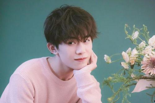 易烊千玺娱乐圈大爆料,独家爆料背后的真相与内幕